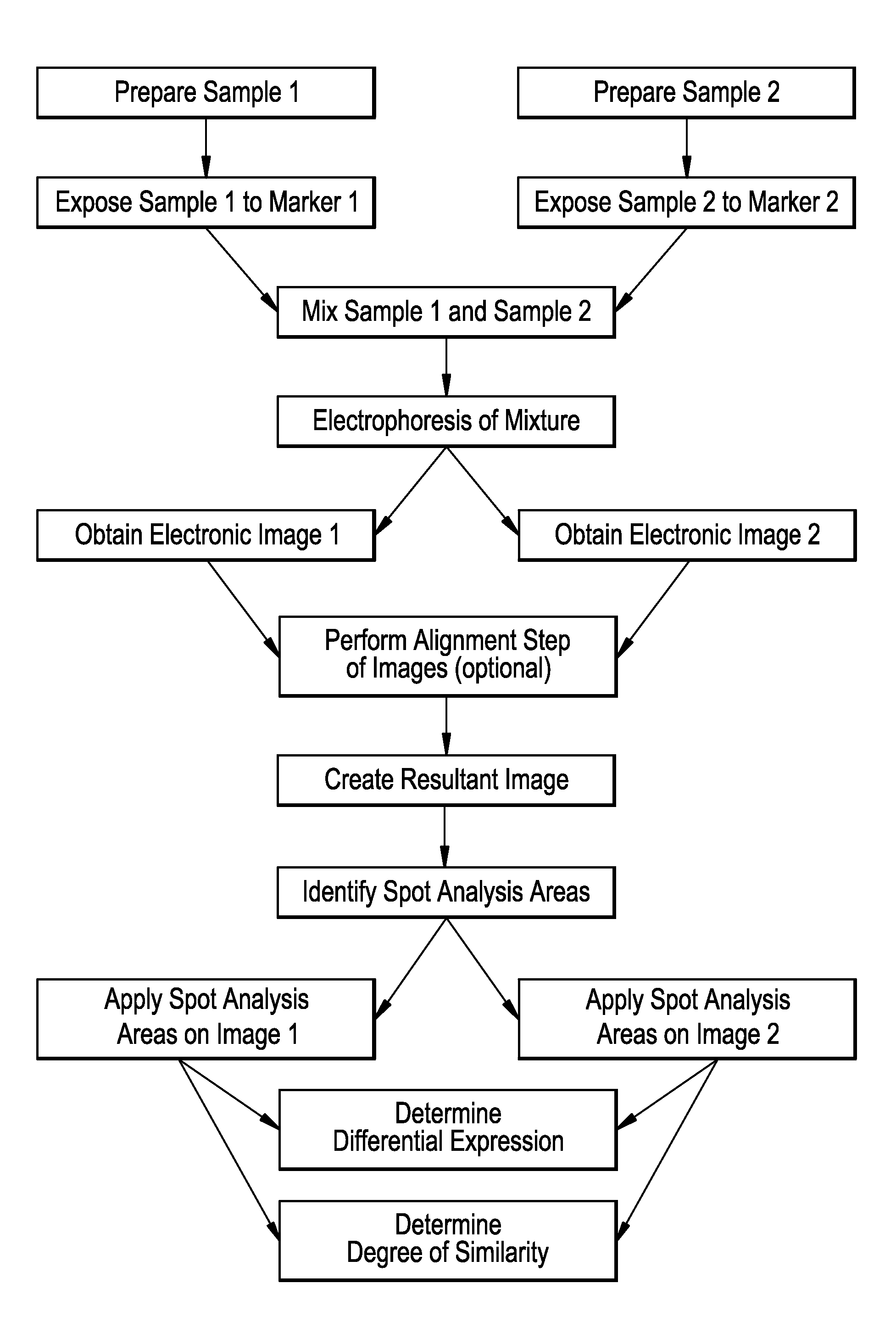 Method of analysing cell samples, by creating and analysing a resultant image