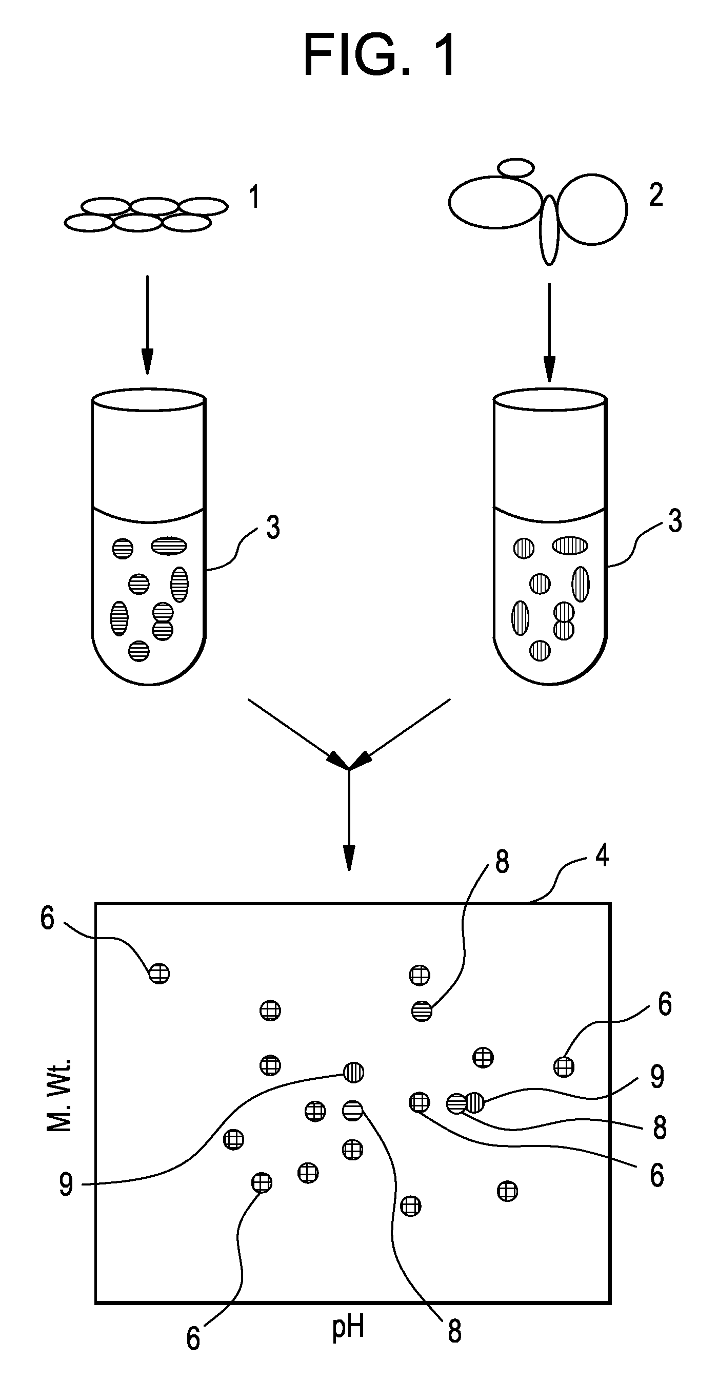 Method of analysing cell samples, by creating and analysing a resultant image