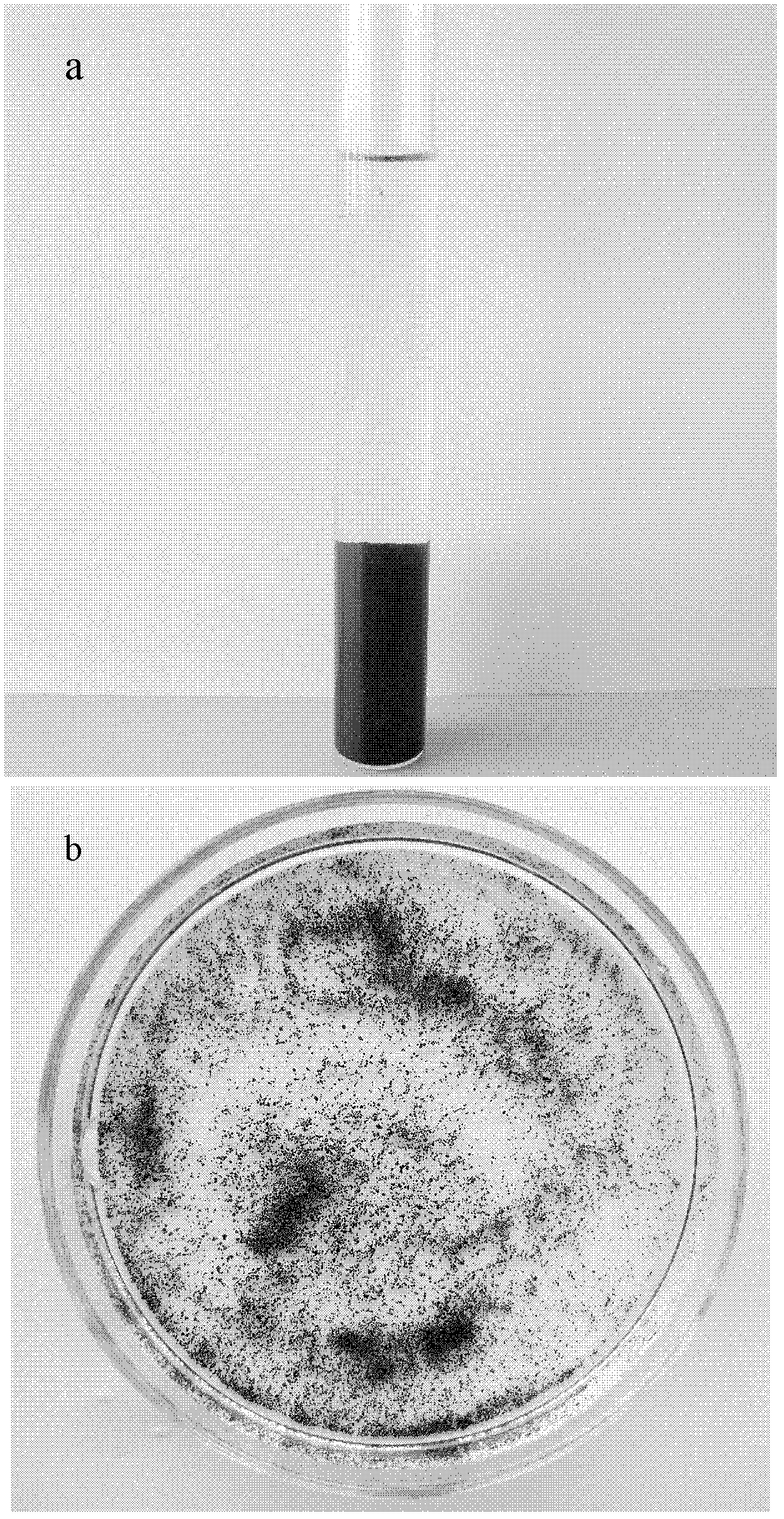 Preparation method of Mn element-doped cyclodextrin polymer material with adsorptive separation function and application thereof