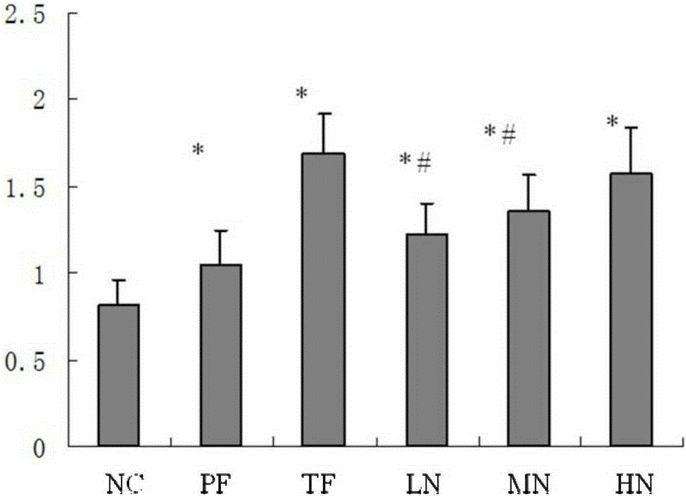 Body immunity-improving nutrient composition and application thereof