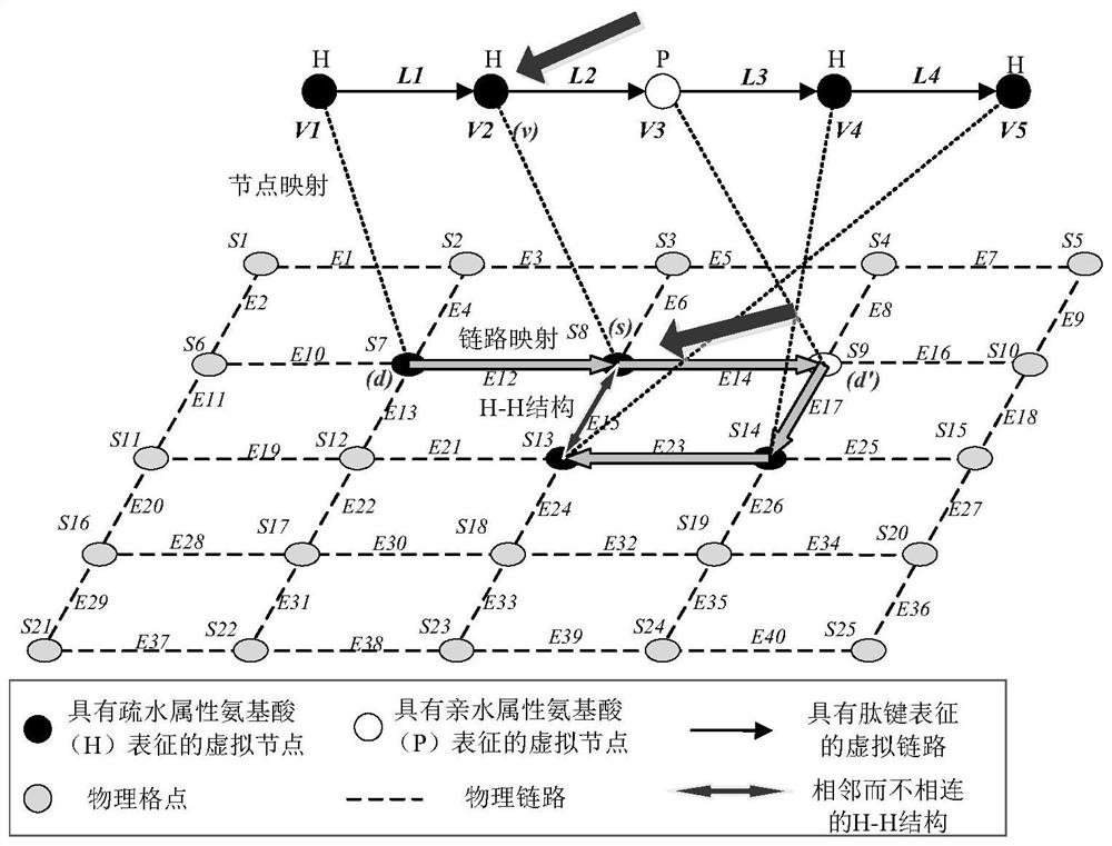 Protein conformation prediction acceleration method based on virtual network mapping and cloud parallel computing