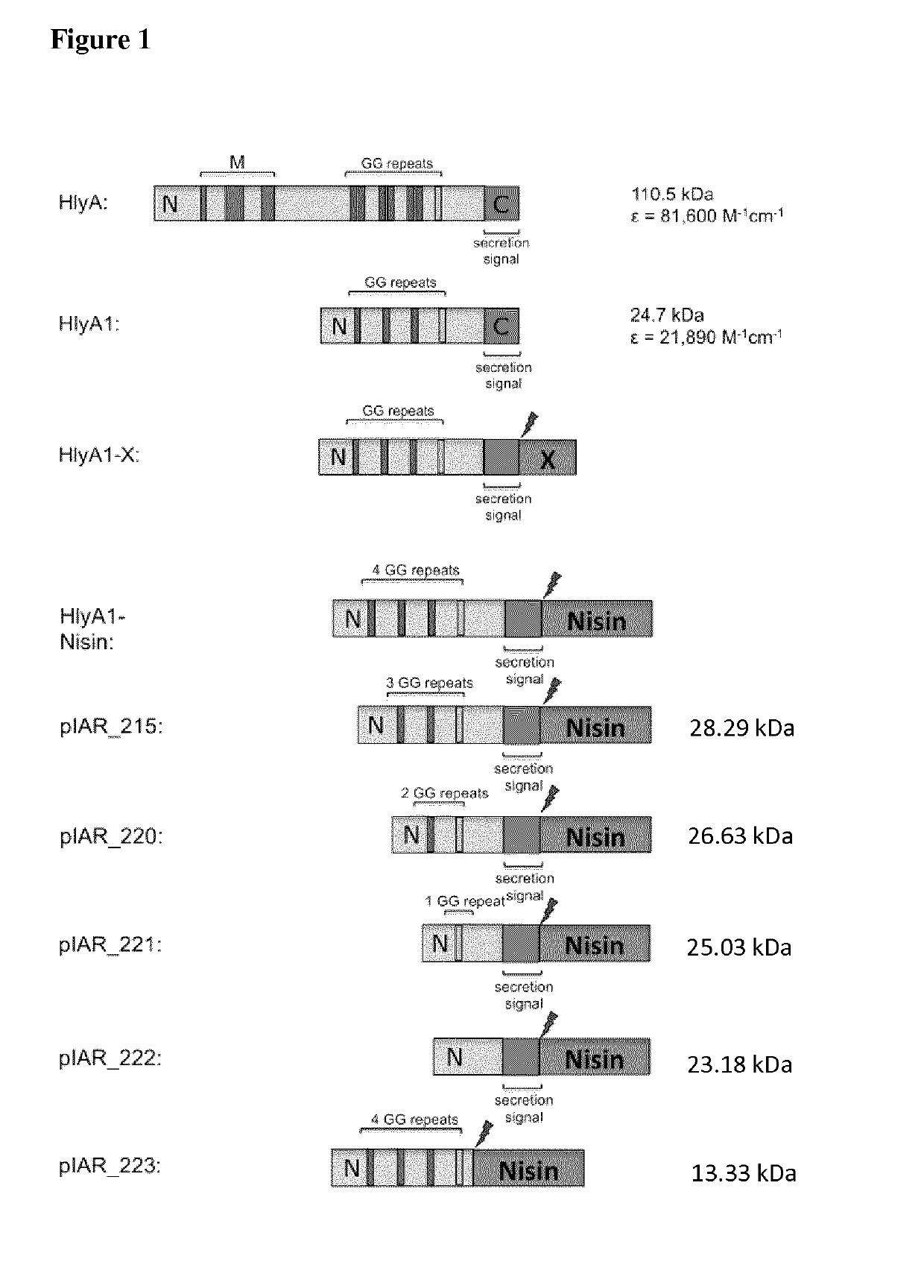 Methods for the expression of peptides and proteins