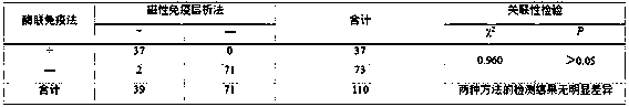 Magnetic immunochromatographic test strip capable of quantitatively detecting CEA and CA19-9 in blood simultaneously and preparation method