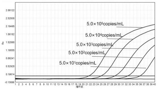 High-sensitivity novel coronavirus 2019-nCoV nucleic acid detection kit and use method