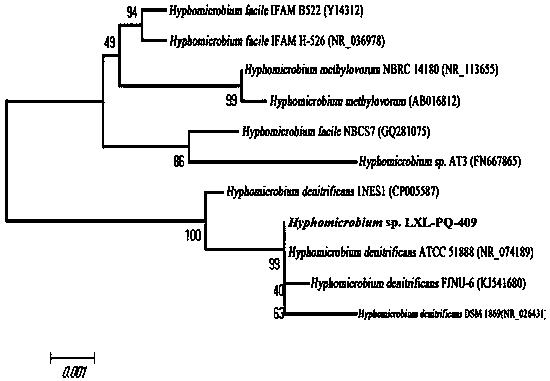 Method for producing pyrroloquinoline quinine-containing table vinegar through co-culture and fermentation of microorganisms