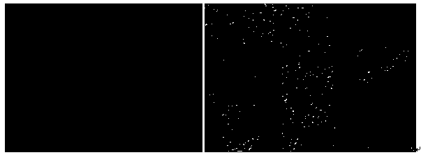 Method for producing pyrroloquinoline quinine-containing table vinegar through co-culture and fermentation of microorganisms