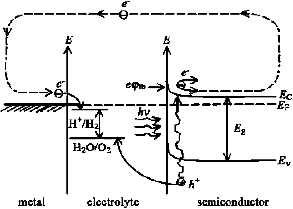 Photoelectrode with growth of InxGa1-xN nanowires on tantalum substrate and preparation method of photoelectrode