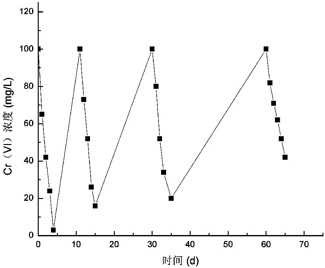 Hexavalent-chromium reduction immobilization bacterial agent and preparing method