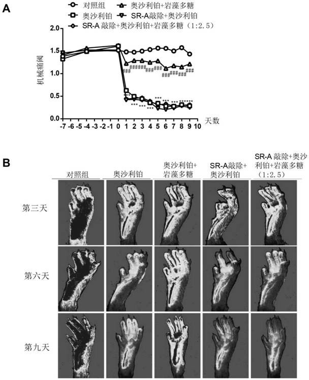 Application of composition containing ginsenoside Rg1 and fucoidin in preparation of medicine for reducing expression of tissue factors