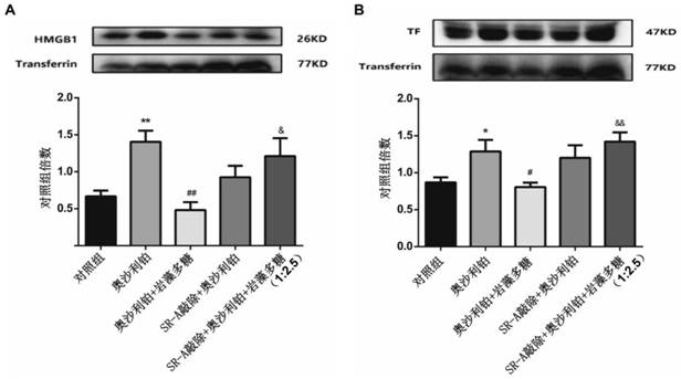 Application of composition containing ginsenoside Rg1 and fucoidin in preparation of medicine for reducing expression of tissue factors