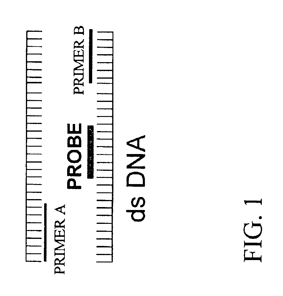 Detection and typing of human papillomavirus using PNA probes