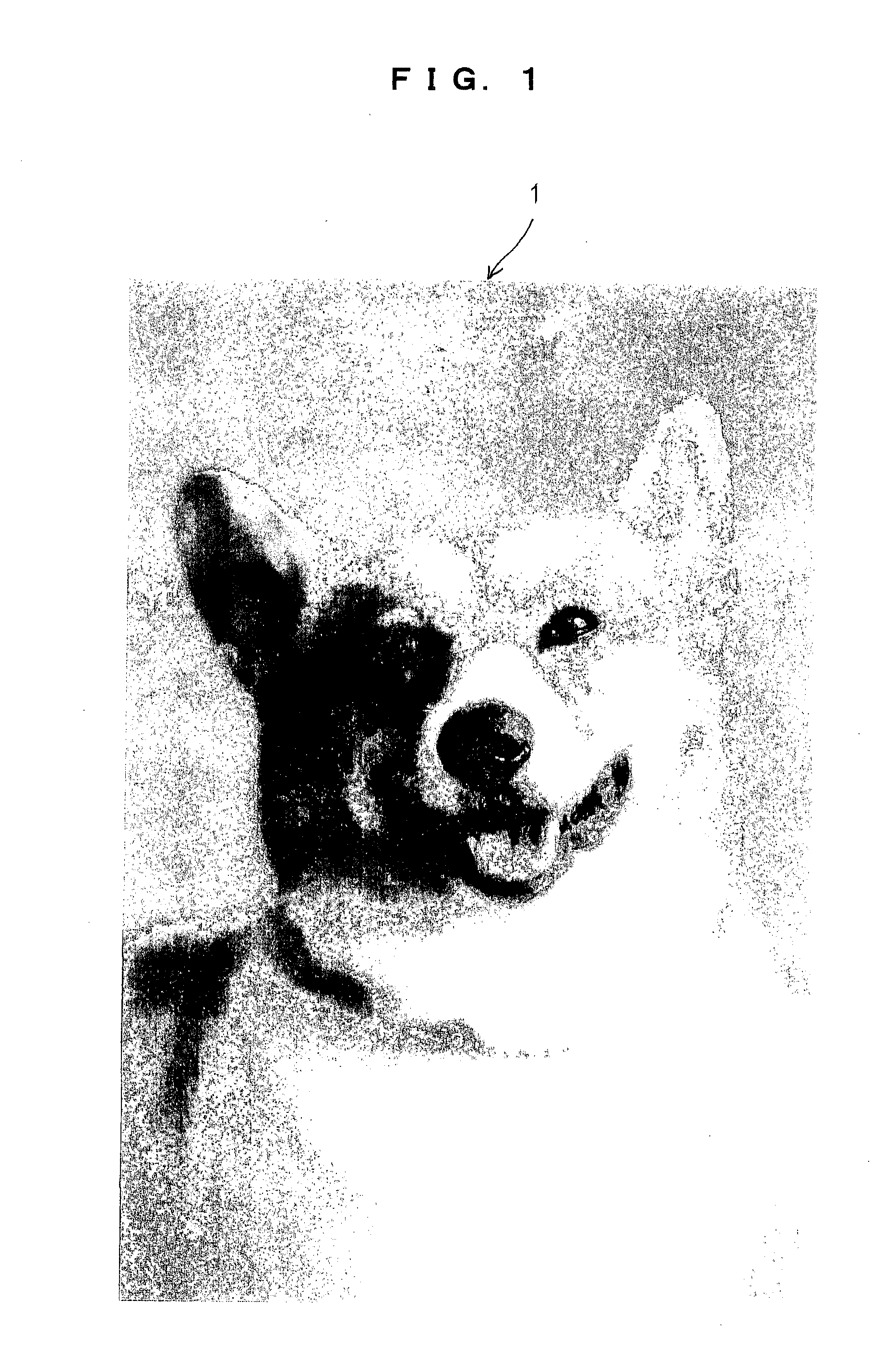 Bead picture based on image data and manufacturing method thereof