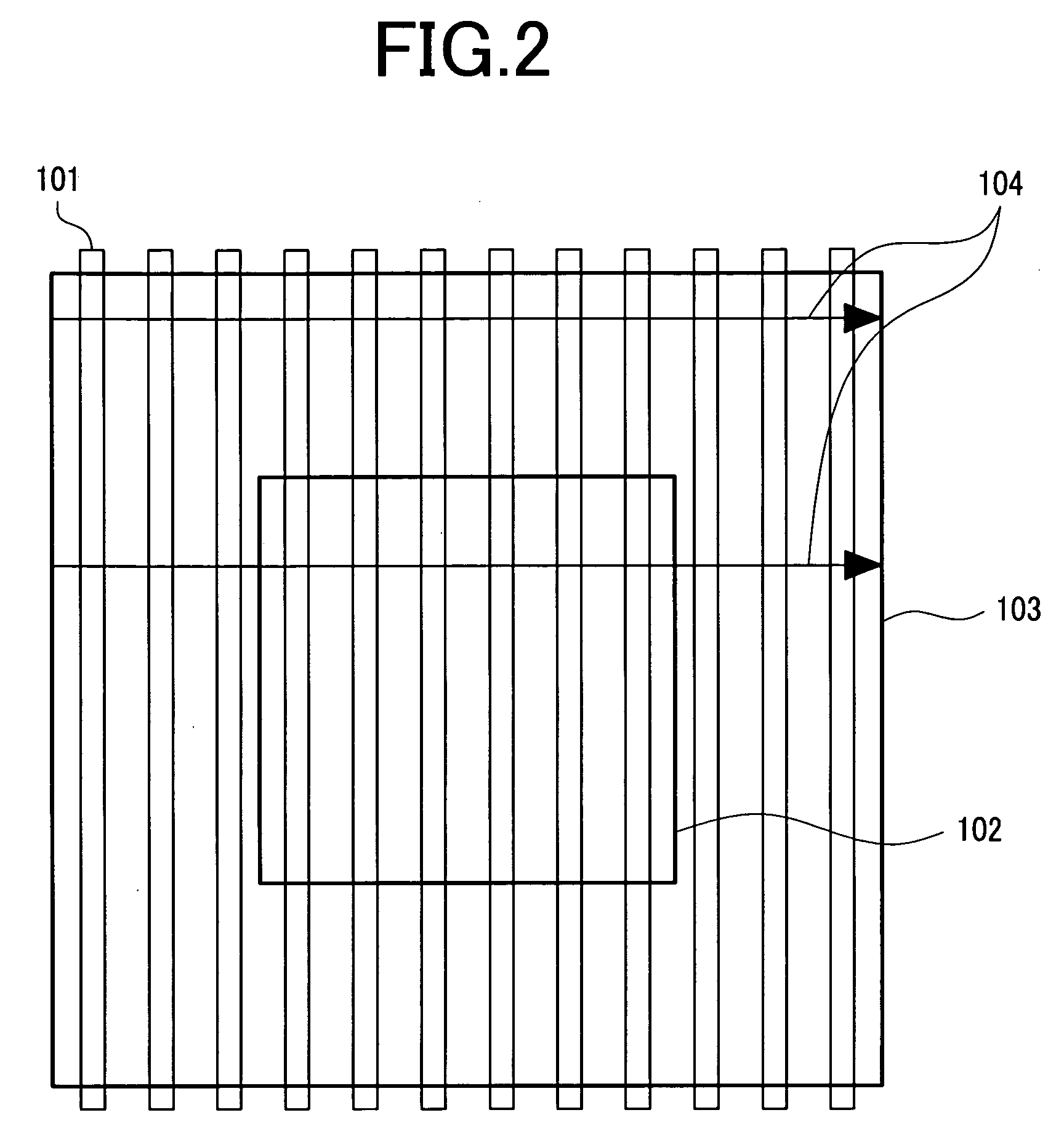 Charged particle beam apparatus