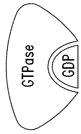 Inhibitors of kras g12c mutant proteins