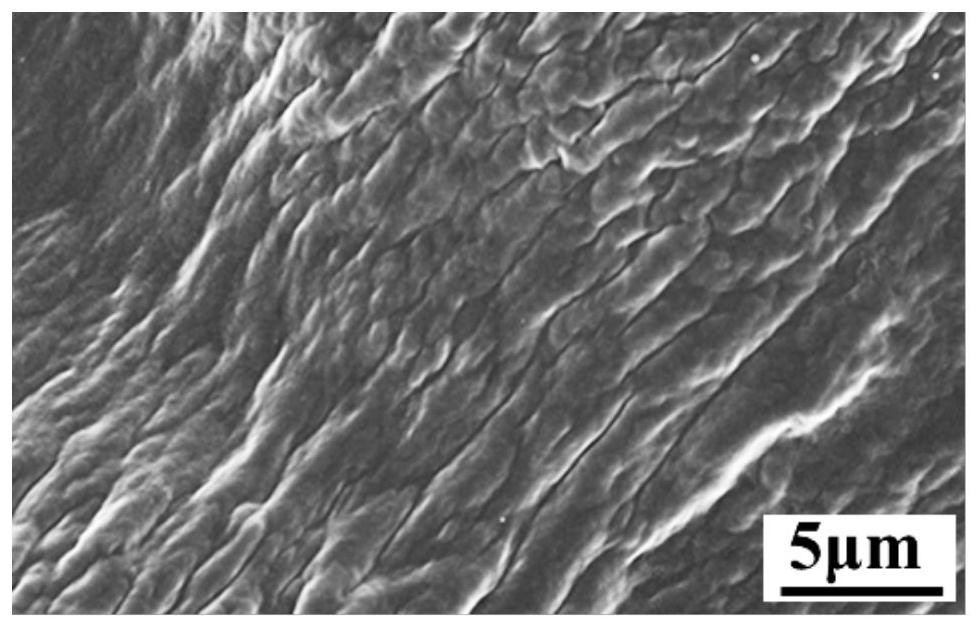 A kind of cystine cholesterol gelling factor and its preparation method