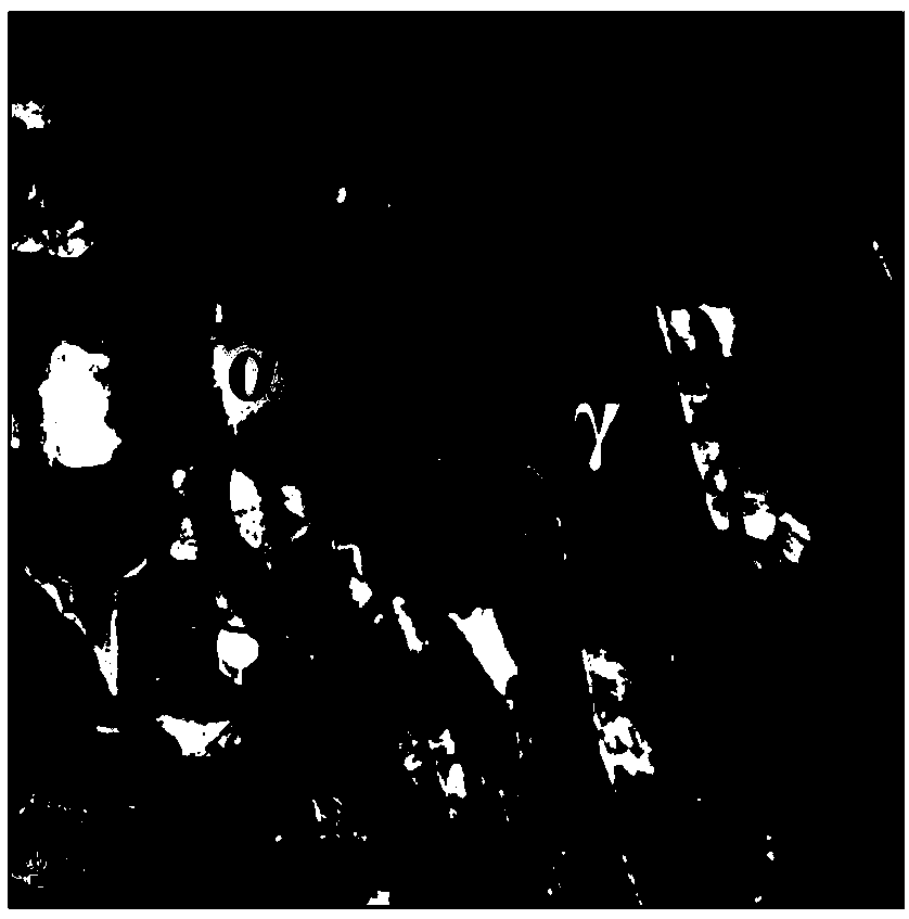 Preparation method of high-strength medium-manganese steel plate