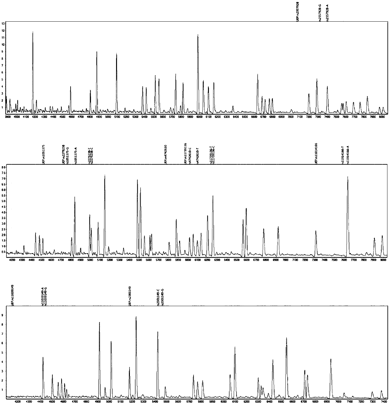 Method for discriminating individualized verapamil medication by mass spectrometry through primer composition