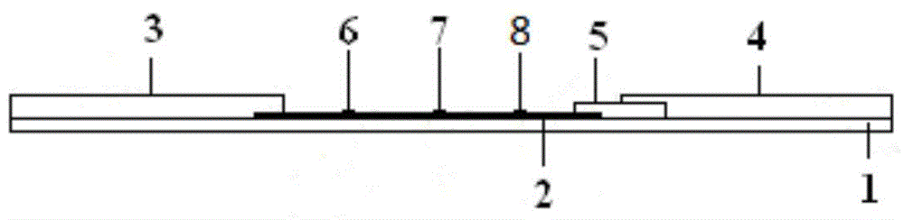 Test strip for detecting pepsinogen I and pepsinogen II as well as detection method and application of test strip