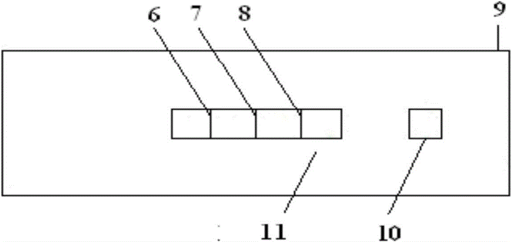 Test strip for detecting pepsinogen I and pepsinogen II as well as detection method and application of test strip