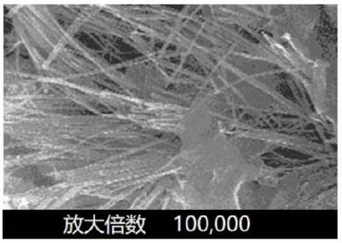 Beryllium metal polluted soil repairing agent and preparation method thereof