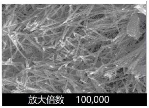 Beryllium metal polluted soil repairing agent and preparation method thereof