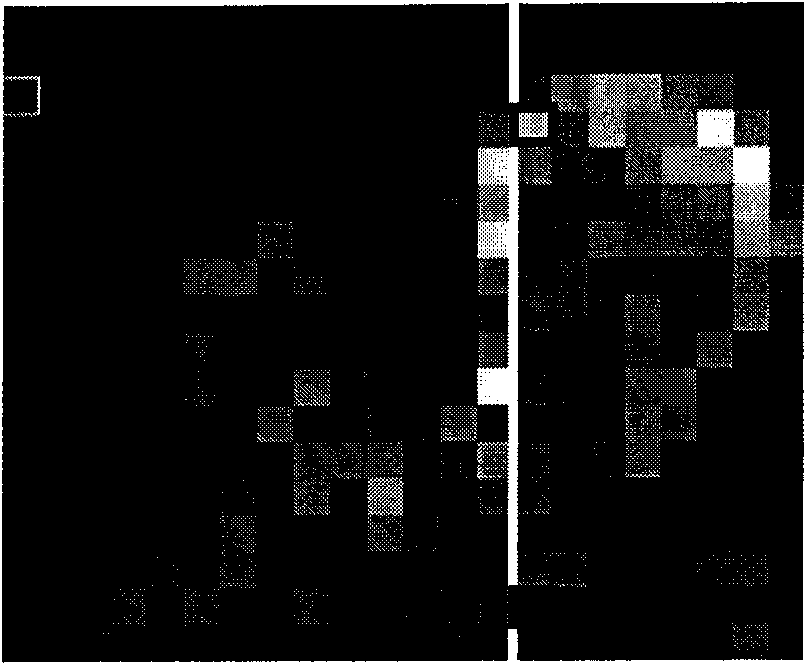 H.264 downsizing transcoding method based on texture and motion characteristics