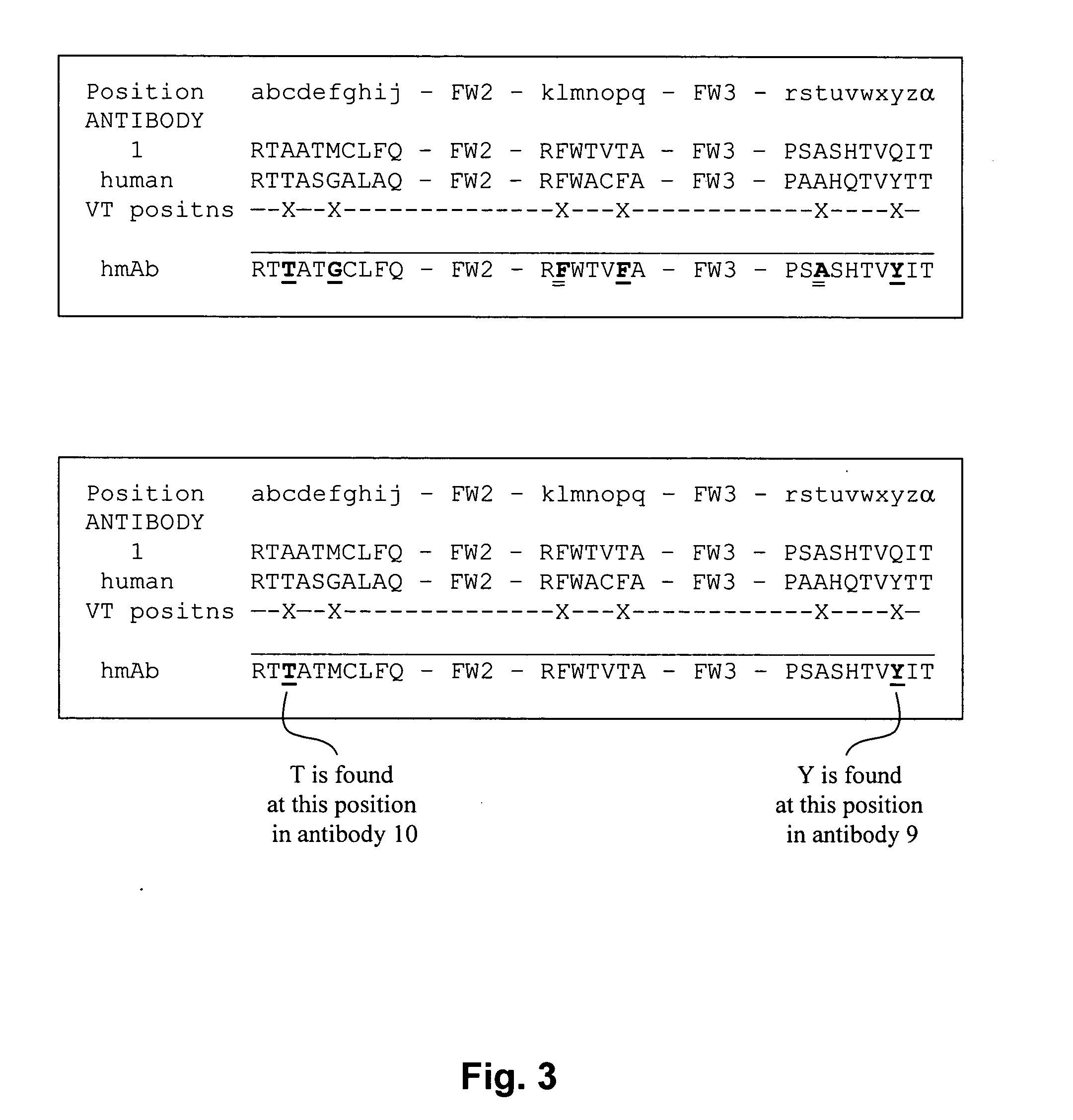 Methods for antibody engineering