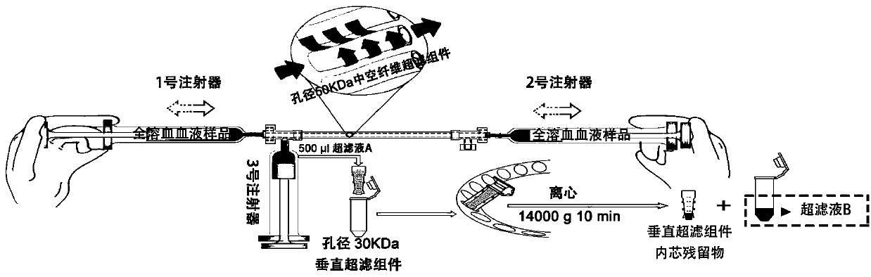 Method for detecting urea and creatinine in forensic hemolytic blood sample