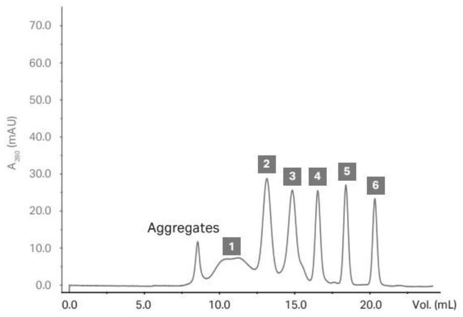 Specific antibody of novel coronavirus S protein as well as preparation method and application thereof