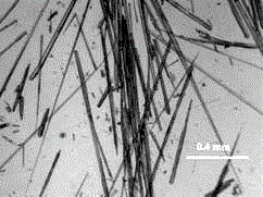 A kind of preparation method of acicular methylene white crystal