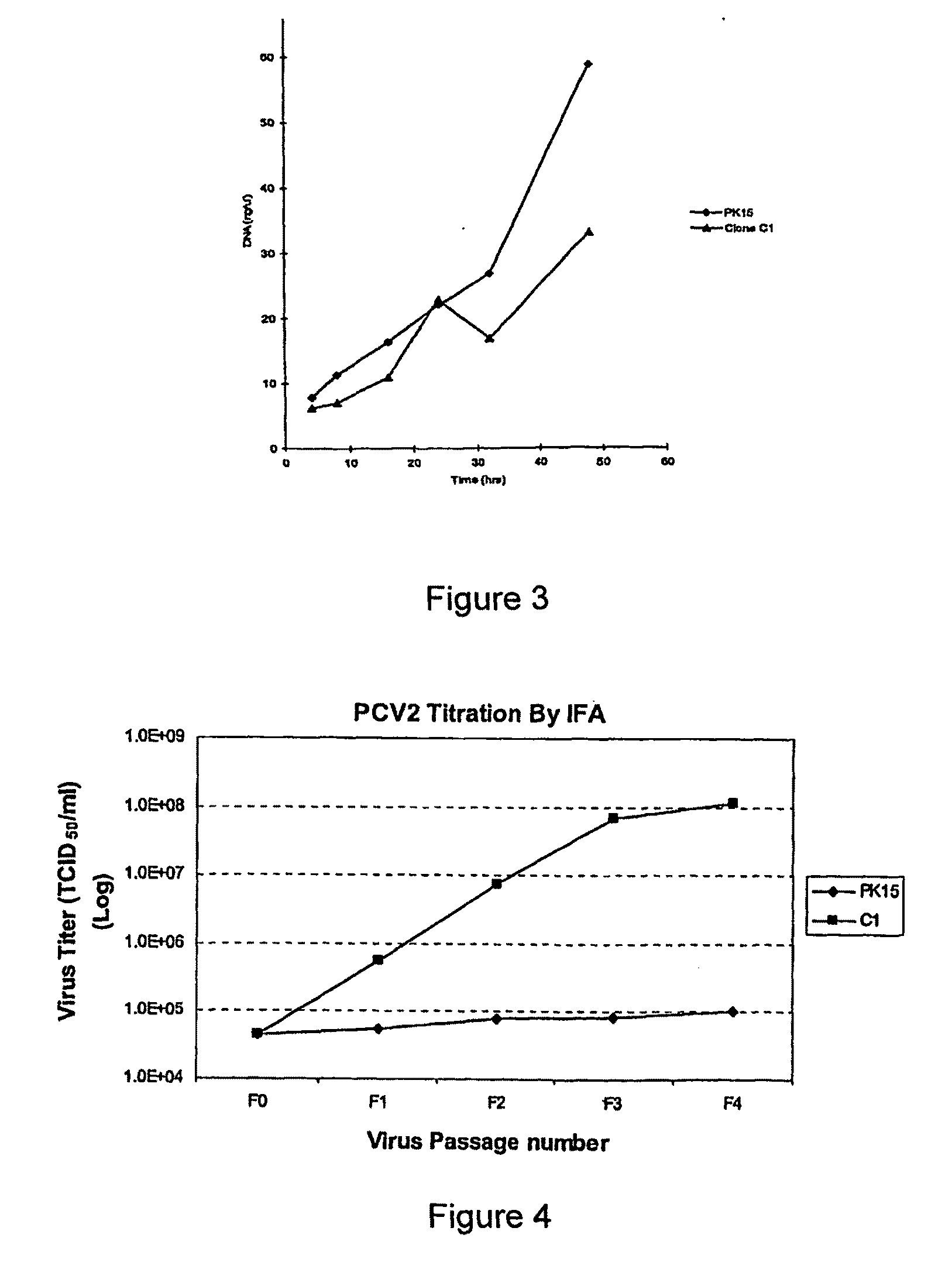 Production of Homogeneous Cell Line Highly Permissive To Porcine Circovirus Type 2 (PCV2) Infection