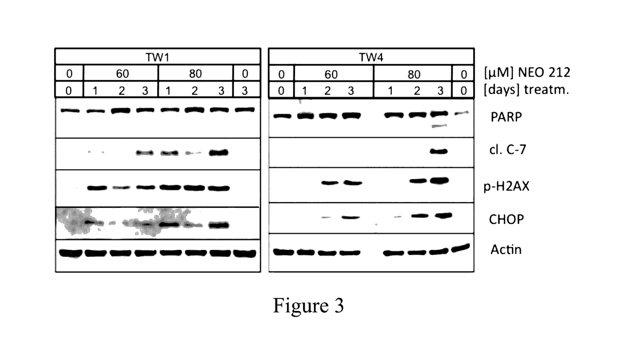 Method of treating nasopharyngeal carcinoma using perillyl alcohol derivative