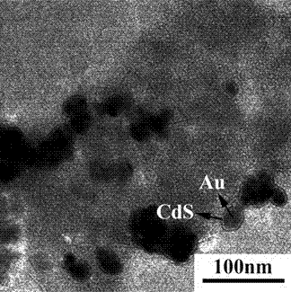 Preparation method and application of a heterojunction photoelectrode