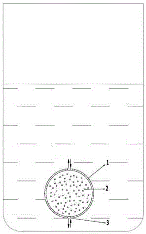 Controlled-release brewing-drinking device and method for Chinese medicine particles