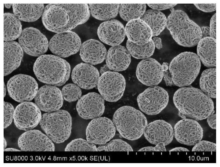 Spherical high-nickel cobalt-free single crystal precursor and preparation method thereof