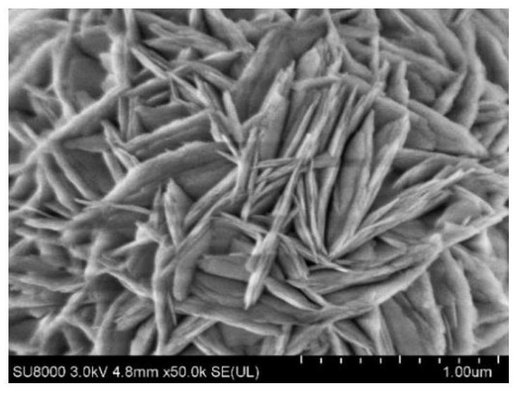 Spherical high-nickel cobalt-free single crystal precursor and preparation method thereof