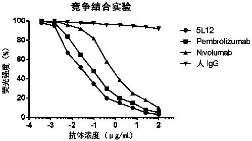 Epitope-specific antibody screening method and screened antibody