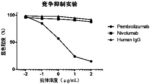 Epitope-specific antibody screening method and screened antibody