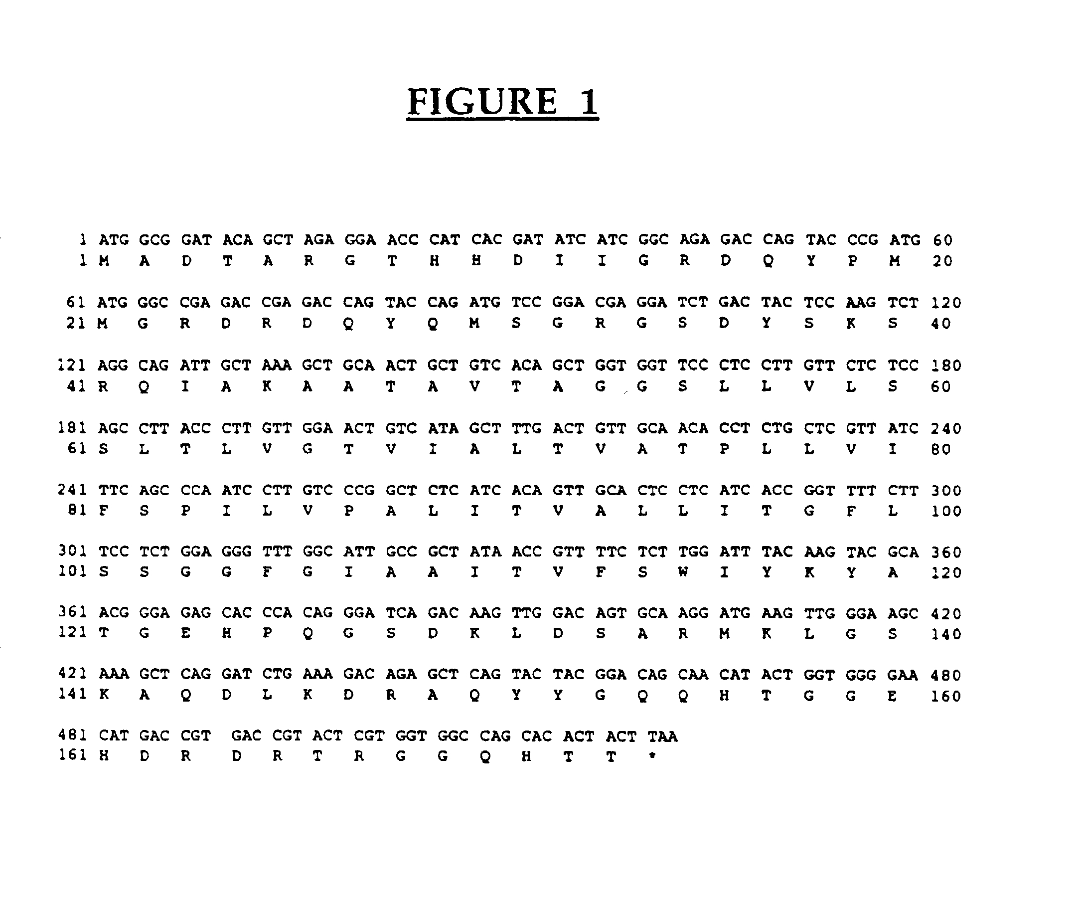 Oil bodies and associated proteins as affinity matrices