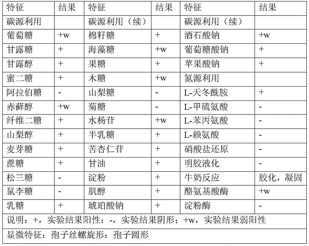 Streptomyces angustmyceticus ER1396 strain and use thereof