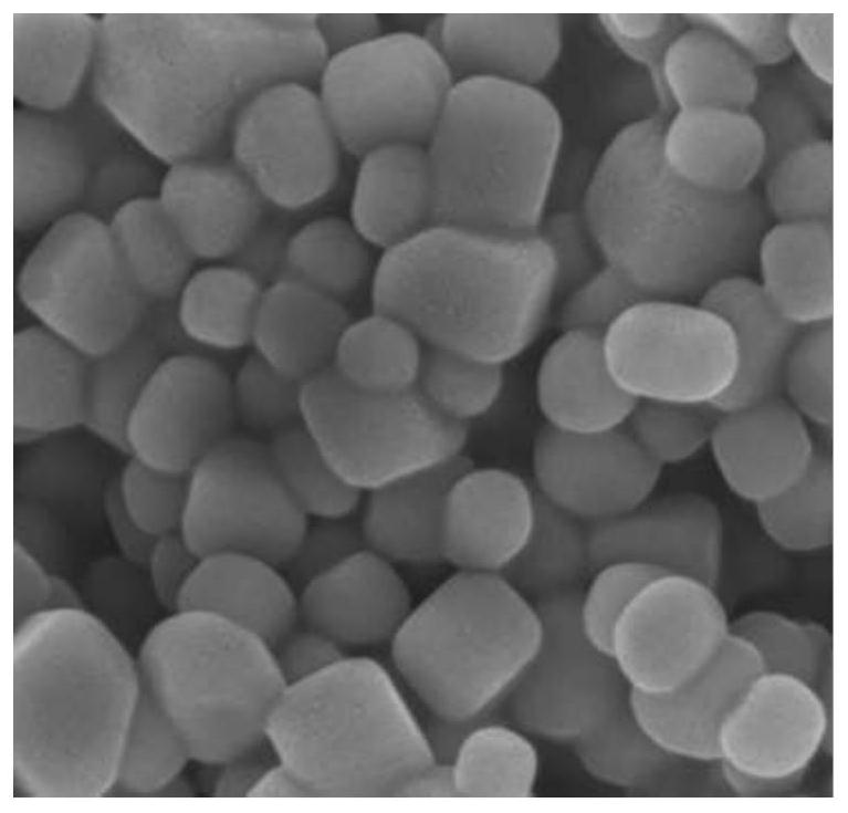 A Dielectric Composite Material Based on Core-Shell Structural Filler