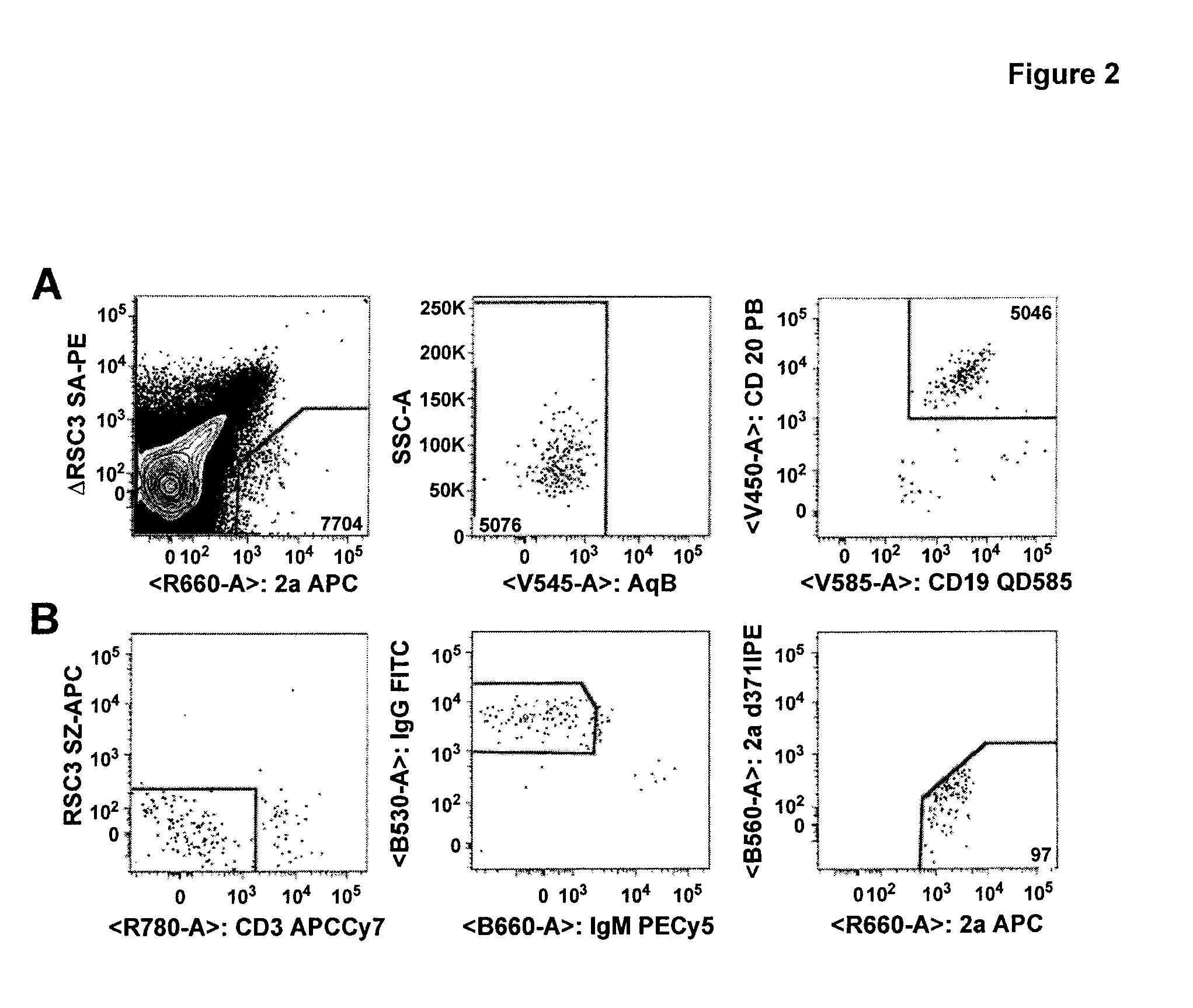 Novel HIV -1 broadly neutralizing antibodies