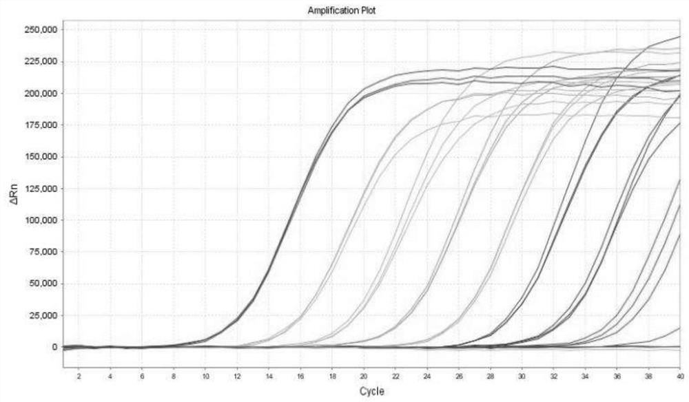 Multiple fluorescent quantitative PCR (Polymerase Chain Reaction) detection kit for streptococcus suis type 2 virulence gene and detection method thereof