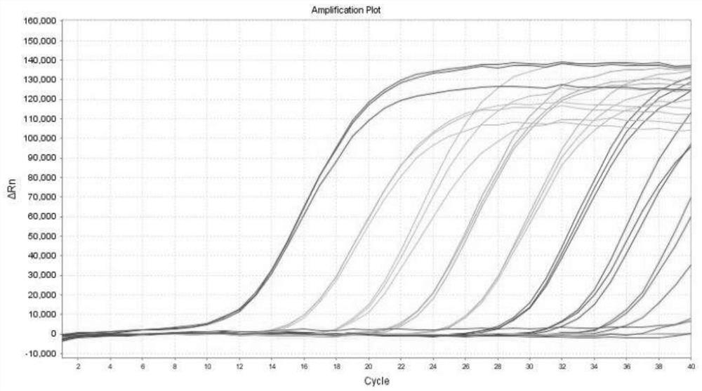 Multiple fluorescent quantitative PCR (Polymerase Chain Reaction) detection kit for streptococcus suis type 2 virulence gene and detection method thereof