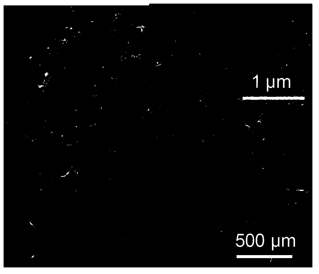 Rapidly charged flexible lithium ion battery and preparation method of electrodes of rapidly charged flexible lithium ion battery