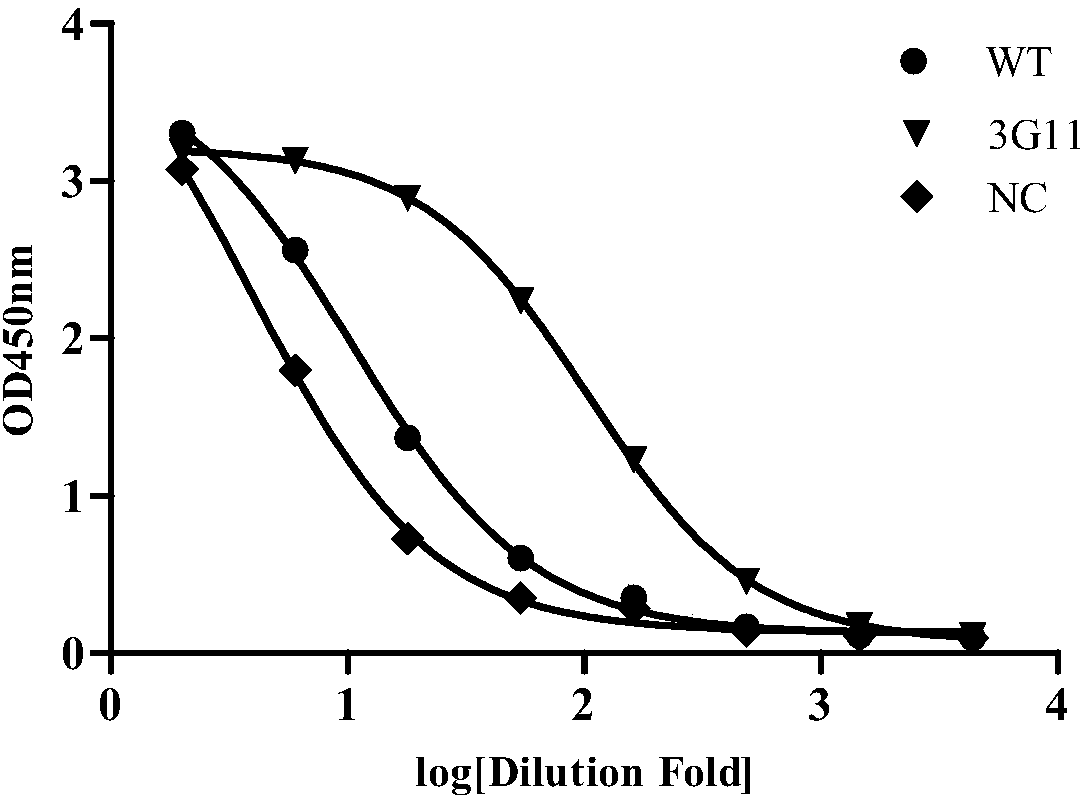 Anti-CD19 antibody and preparation method and use thereof