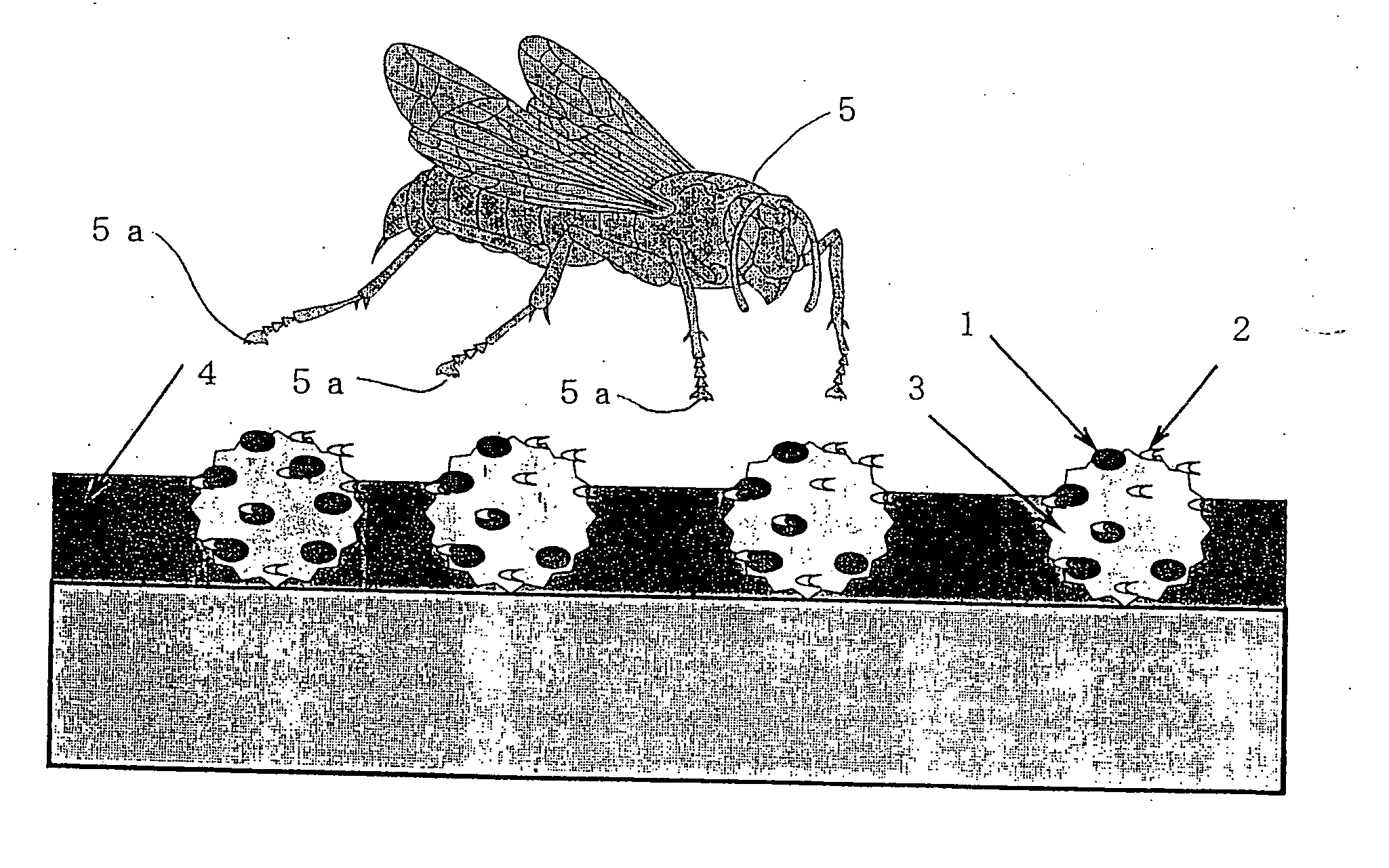 Insect pest-repellent film, insect pest-repellent paint and method for producing the same