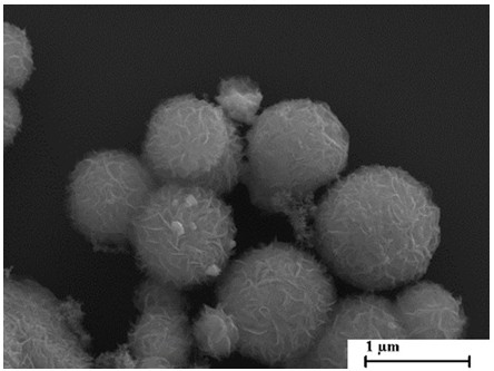 A petal-shaped microsphere molybdenum disulfide composite carbon material loaded PD metal catalyst and preparation method thereof