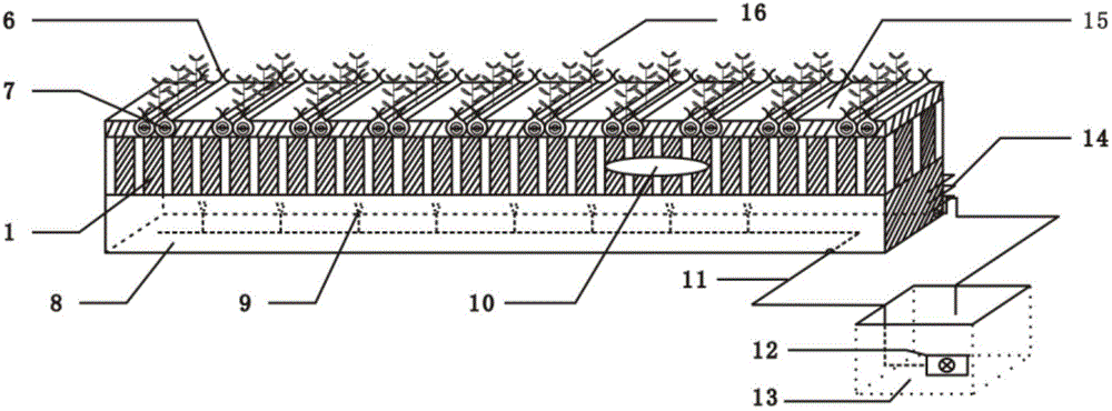 Method for producing virus-free mini-potatoes and potato atomization cultivation box