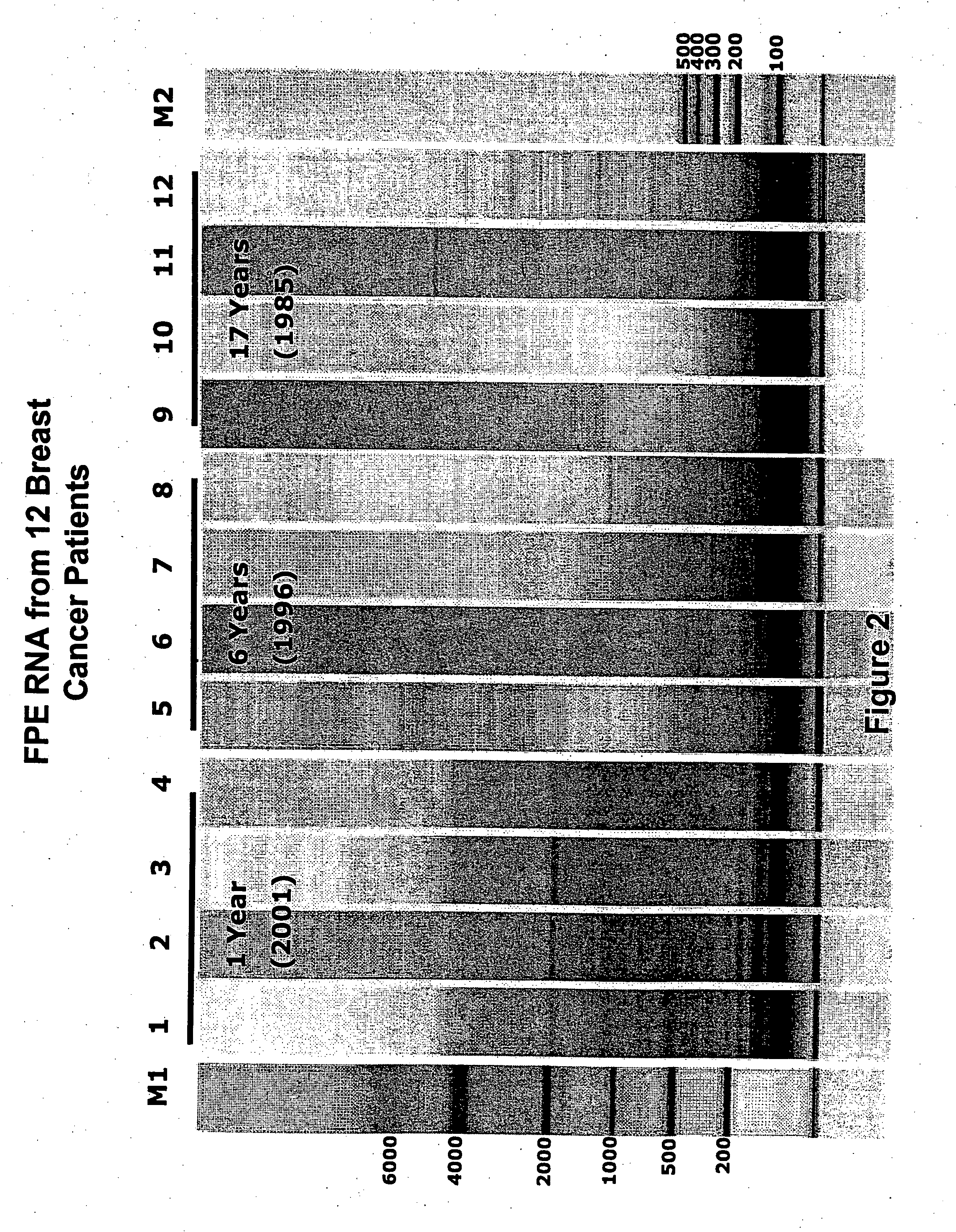 Universal amplification of fragmented RNA